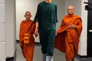 火爆南非VS韩国直播入口