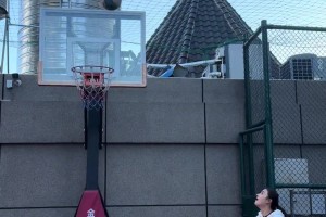 龙珠网低调看直播